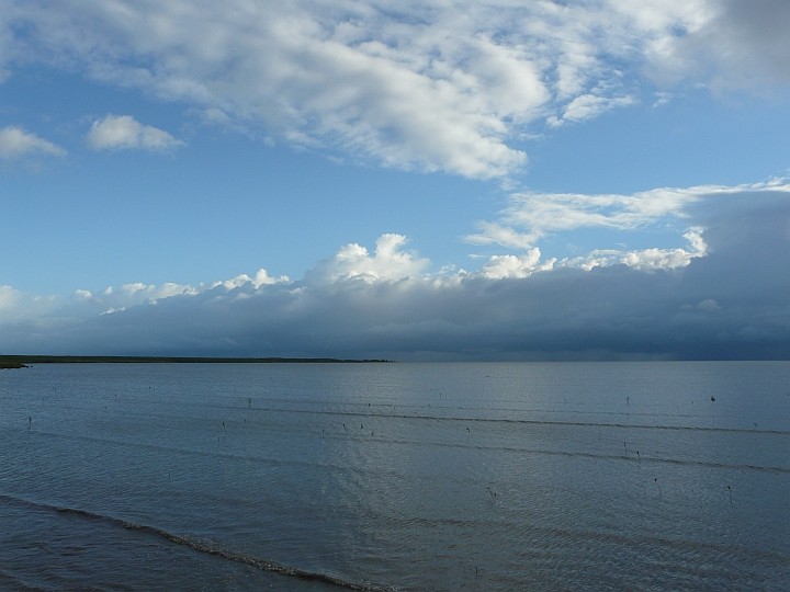 11.11.2009, 06:35 Ortszeit, Esplanade in Cairns