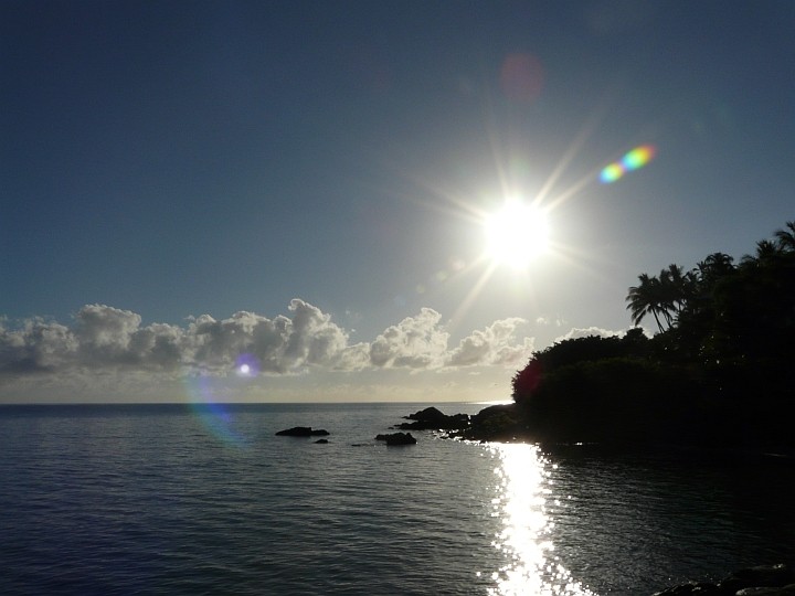 18.11.2009, 06:42 Ortszeit, Anzac Park in Port Douglas